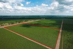Найбільший попит на ринку землі мають колишні «підмораторні» землі