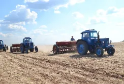 На Полтавщині пересівають кукурудзу, сою та цукровий буряк