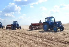 Цьогорічна весняна посівна подорожчає до 103 млрд грн