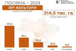 Посівна-2024: зерновими та зернобобовими засіяли понад 210 тис. га