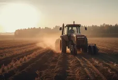 Цьогоріч аграрії планують посіяти більше сої та цукрового буряка, – опитування