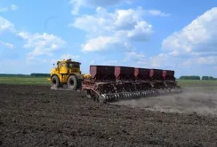 Завдяки розмінуванню на Херсонщині засіють втричі більше, аніж торік