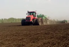 На Чернігівщині закінчили сіяти озимину