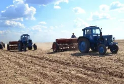 Посівна площа на Дніпропетровщині практично не зміниться