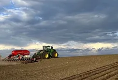 Посівні площі на Херсонщині цьогоріч збільшилися в чотири рази