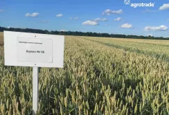 Група АГРОТРЕЙД проведе 370 агровипробувань у 2025 році