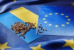 Україна здатна забезпечити стабільні поставки агропродукції до ЄС, –  Тарас Качка