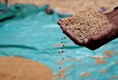 Україна відправила понад 280 тисяч тонн продовольства в межах Grain from Ukraine