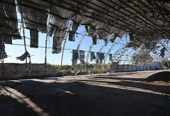 Уряд затвердив проєкт змін до програми державної підтримки «5-7-9» для постраждалих агропідприємств