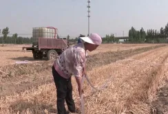 Посуха в Китаї: в деяких провінціях оголосили помаранчевий рівень небезпеки