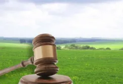 Суд поставив крапку в історії з рейдерською атакою на фермерське господарство