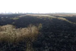 Пожежники Миколаївщини рятують поля від вогню