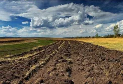 Прибережні землі розорювати не можна, – прокуратура