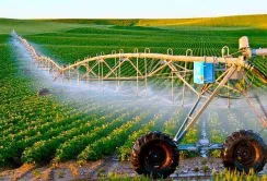 Процедуру передачі меліоративних систем у власність ОВК спрощено
