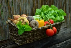 Харківщина допоможе сільгоспвиробникам Луганщини з ринками збуту