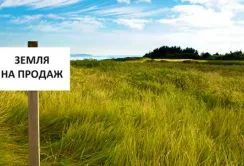 Аграрії закликали залишити ліміт продажу землі 100 гектарів в одні руки як для юридичних, так і для фізичних осіб