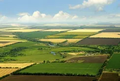 Продаж землі великим корпораціям під час війни – вкрадене майбутнє молодих агровиробників, – Ігор Новицький