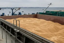 Росія не проти продовження зернової ініціативи