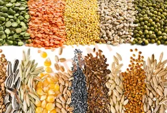 Фермери Тернопільщини тепер можуть віддавати кредити продукцією