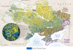 В NASA спрогнозували врожайність озимої пшениці в Україні