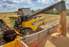 Мінагрополітики підвищило прогноз врожаю-2023