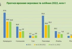 Аналітики вважають, що цьогорічний врожай зернових та олійних сягне 67,5 млн т