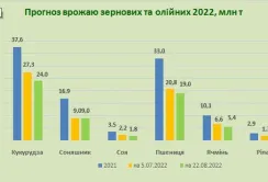 Площі, з яких можна зібрати врожай, зменшились на 1 млн га