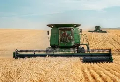 Цьогоріч в Україні планують зібрати 74-76 млн тонн зернових та олійних культур