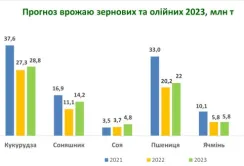 УЗА збільшила прогноз врожаю до 81,6 млн т зернових та олійних