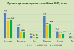 УЗА оновила прогноз врожаю зернових та олійних