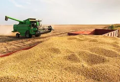 Прогноз врожаю знижено на 2,8 млн тонн через спекотну та суху погоду