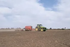 «Прометей» збільшив площі під озимим ріпаком