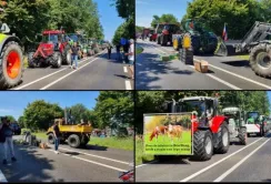 У Нідерландах тисячі фермерів виїхали на протести проти рішення уряду
