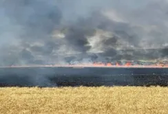 Міністр аграрної політики Віталій Коваль: прямі збитки агросектору від війни перевищили $11 млрд