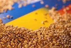Україна наростила поставки пшениці до Єгипту