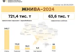 Жнива 2024: ранні зернові збирають у 16 областях