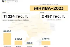 В Україні зібрали понад 11 млн тонн ранніх зернових