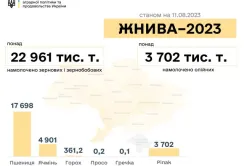 В Україні намолотили майже 23 млн тонн ранніх зернових