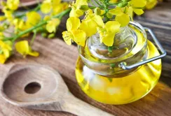 ТОП-5 експортерів ріпаку та продуктів переробки