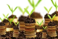 Аграрії заробили 239 млн грн завдяки аграрним розпискам