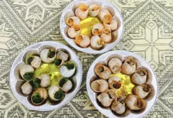 На Закарпатті запрацювала перша равликова ферма
