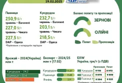 Тижневий тренд на ринку зернових та олійних з 10 по 18 лютого від AgroMarket UUB