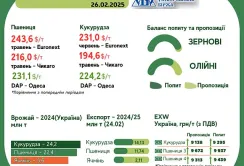 Тренди на ринку зернових та олійних з 17 по 25 лютого від AgroMarket UUB
