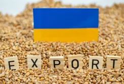 Аграрії пропонують змінити митні правила для розвитку експорту продуктів з доданою вартістю