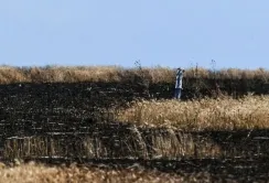 На рекультивацію пошкоджених війною ґрунтів потрібні десятиліття