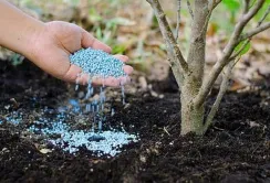Ринок добрив цьогоріч може повернутись до довоєнного рівня