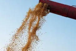 На ринок ЄС постачається втричі більше російського зерна, ніж українського, – віцепрезидент АсМАП