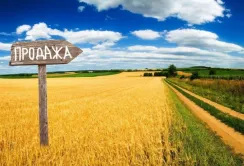 Другий етап ринку землі необхідний для розвитку переробної галузі, – Денис Башлик