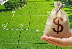 Від лібералізації ринку землі Україна отримає до 2,7% ВВП, – KSE