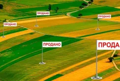 З початку роботи ринку землі кількість укладених угод зросла у 3,5 рази